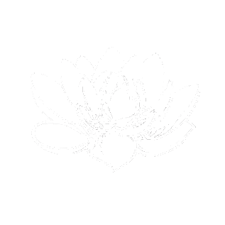 consiliere sistemica